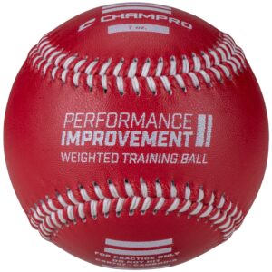 Weighted Training Baseballs