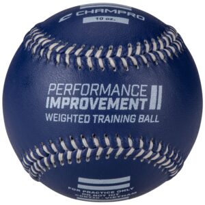 Weighted Training Baseballs