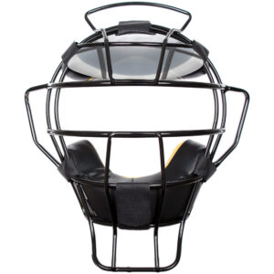 Sun Visor
