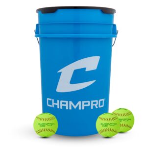 BUCKET w/2dz 12"SP Poly