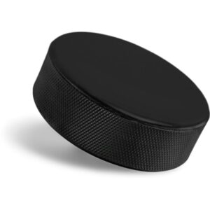 Hockey Puck