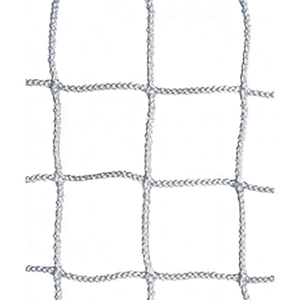 Replacement Net for NL2
