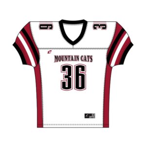 SAMPLE Juice Economy Football Jersey