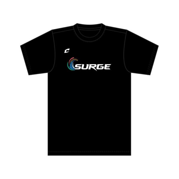 SAMPLE Surge