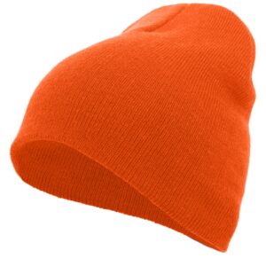 Basic Knit Beanie