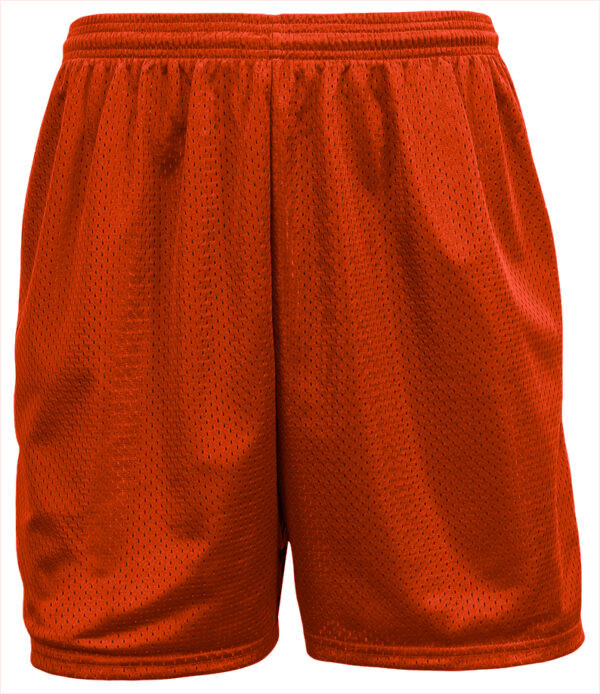 A4 Sprint 5" Lined Tricot Mesh Shorts